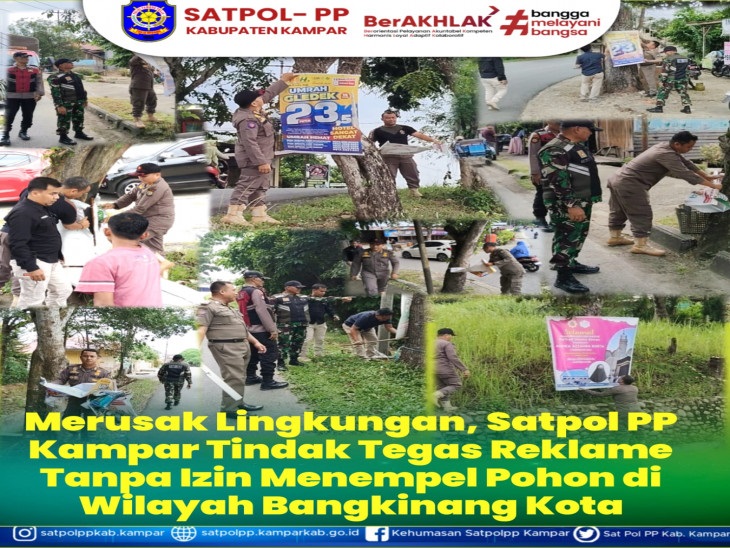 Satpol PP Kampar Tertibkan Spanduk dan Baliho di Pepohonan