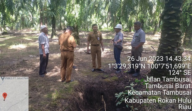 Pabrik Kelapa Sawit di Rohul Dilarang Buang Limbah ke Lahan Perkebunan Warga