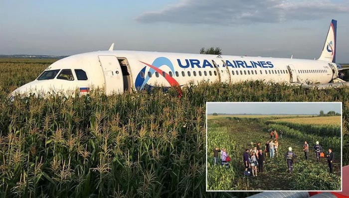 Dramatis! Ditabrak Kawanan Burung, Pesawat Maskapai Rusia Lakukan Dramatis Tanpa Roda di Ladang Jagung, Ini Fotonya