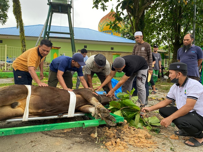 Karyawan RAPP Bagikan 10.057 Kantong Daging dari 151 Hewan Kurban