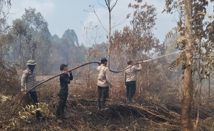 Karhutla di Kandis Saat Ini Tahap Pendinginan