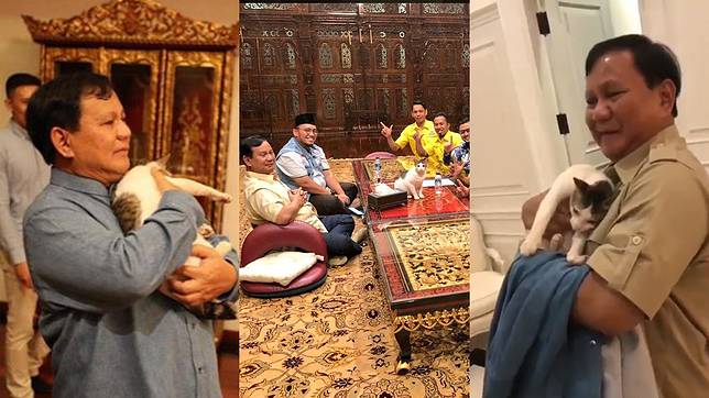Jelang Debat Malam Ini, Prabowo Selalu Ditemani Kucing Kesayangannya, 'Bobby Maunya dekat Bapak Terus'