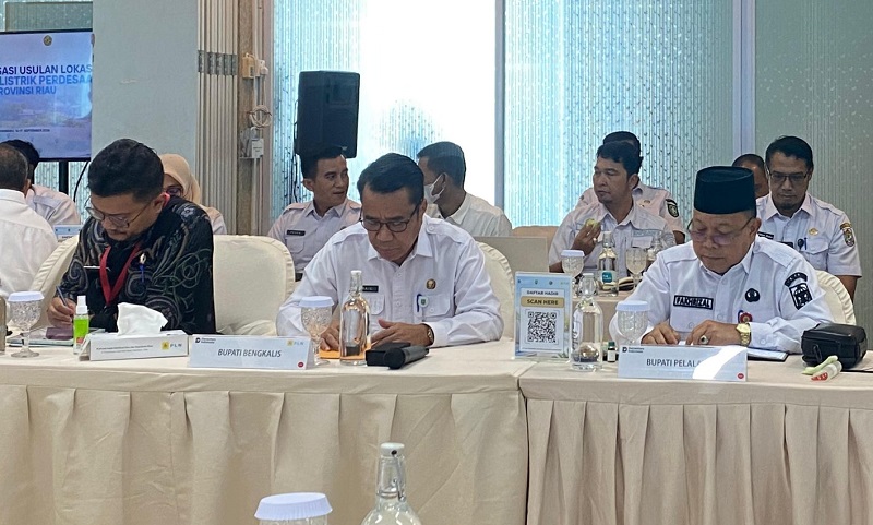Elektrifikasi Rendah, Masih Ada 15,23 Persen Desa di Pelalawan Belum Terjangkau Listrik PLN