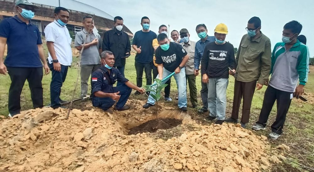 DLHK Riau Tanami Pohon Katapang Kencana di Kawasan Stadion Utama