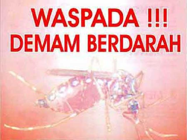 Waspada.. Kasus DBD di Kampar Meningkat