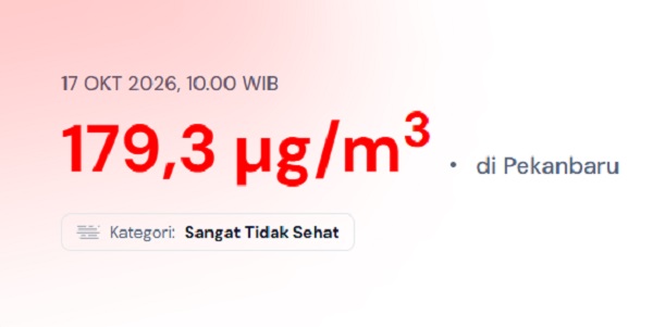 Kualitas Udara Kota Pekanbaru Masih Sangat Tidak Sehat