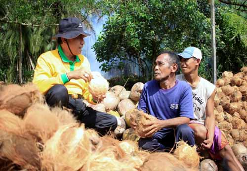 Ketua DPRD Riau Minta Bupati Wardan Tepati Janji Naikkan Harga Kelapa