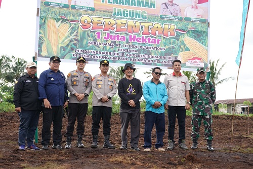 Bupati Herman Harap Program Tanam Jagung Tak Hanya Sebatas Seremoni