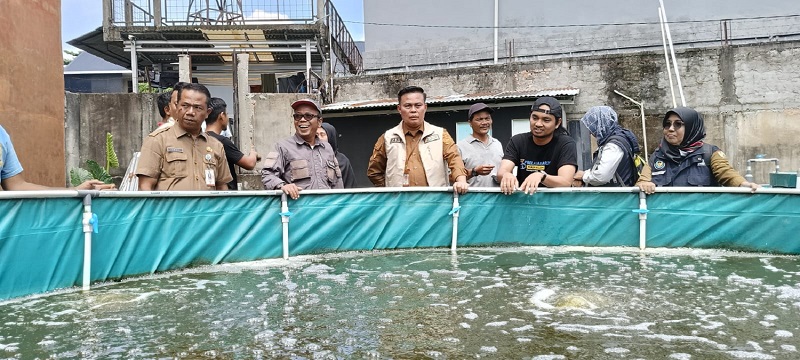 Surplus Produksi, Ikan Air Tawar Pekanbaru Siap Suplai Program MBG