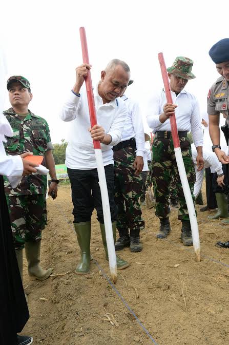 Siapkan 10 Ribu Hektar, Gubri Tanam Perdana Jagung di Kampar