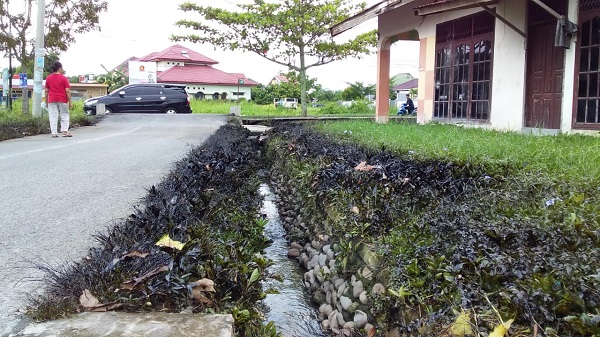 Limbah Minyak Berwarna Hitam Pekat Kotori Puluhan Rumah Warga Simpang Tiga Bukitraya