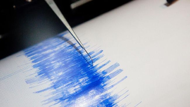 Gempa Bumi Dangkal M 5,1 Guncang Wamena Papua
