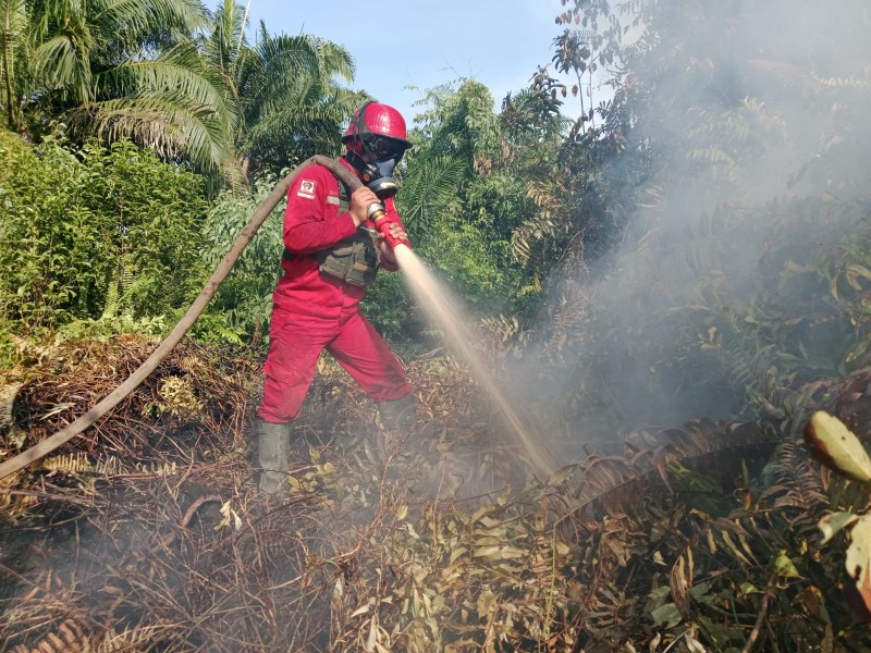 Karhutla Tanjung Kapal Masih Aktif, Alat Berat Dikerahkan Sekat Api dan Pembuatan Embung untuk Water Bombing