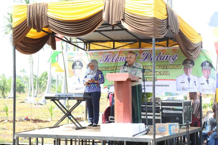 Sembari Panen Kopi Liberika, Gubri Serahkan Bantuan Komoditas Perkebunan di Meranti