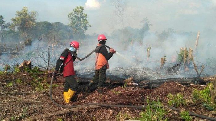 Baru Awal Musim Kemarau, Sudah 200 Hektare  Lahan di Riau Terbakar
