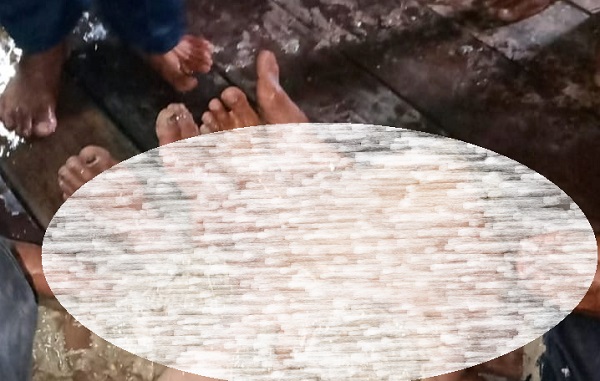 MENGENASKAN, Pencari Udang Ditemukan Tewas dengan Sejumlah Bagian Tubuh Hilang Setelah Diterkam Buaya Ganas
