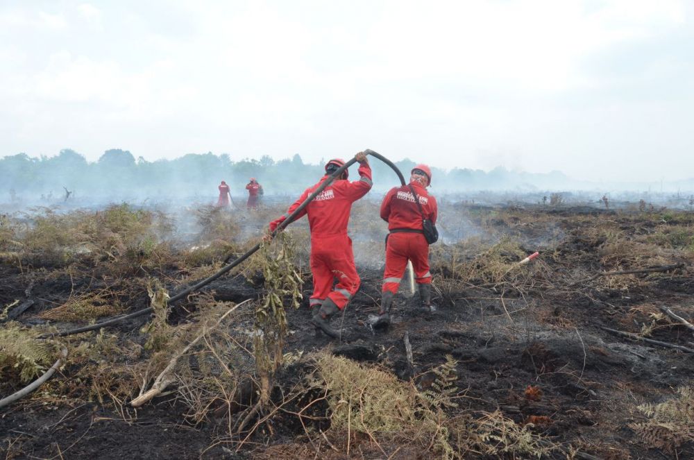 Tahun 2021 Riau Harus Bebas Kabut Asap Karhutla