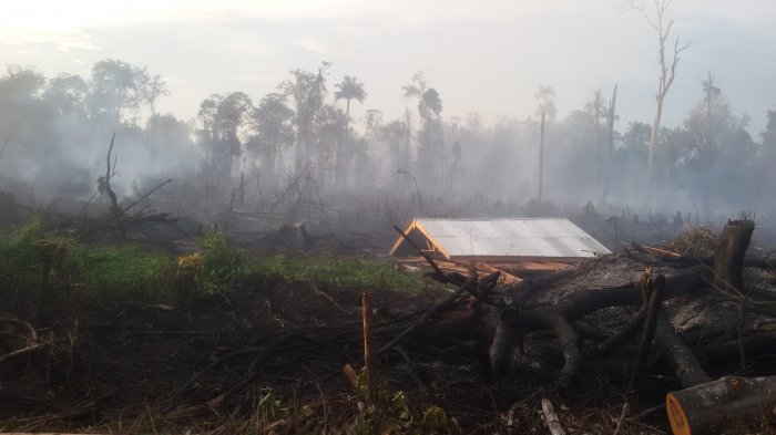 Lahan di Sekitar Areal PT Chevron Pacific Indonesia Terbakar, Ini Penjelasan Perusahaan...