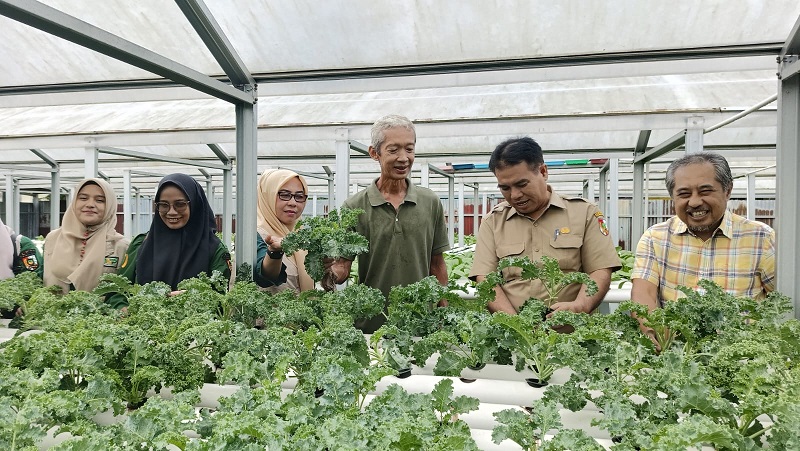 DKP Lakukan Pendampingan Izin Edar Registrasi di Barokah Hidroponik