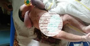 Polisi Tangkap Terduga Pelaku Buang Bayi Cantik di Tambusai Utara Setelah Temukan Hal Mencurigakan Ini...