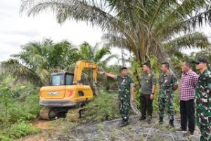 Danrem 031/Wira Bima Pantau Lansung Penumbangan Sawit di Kawasan TNTN