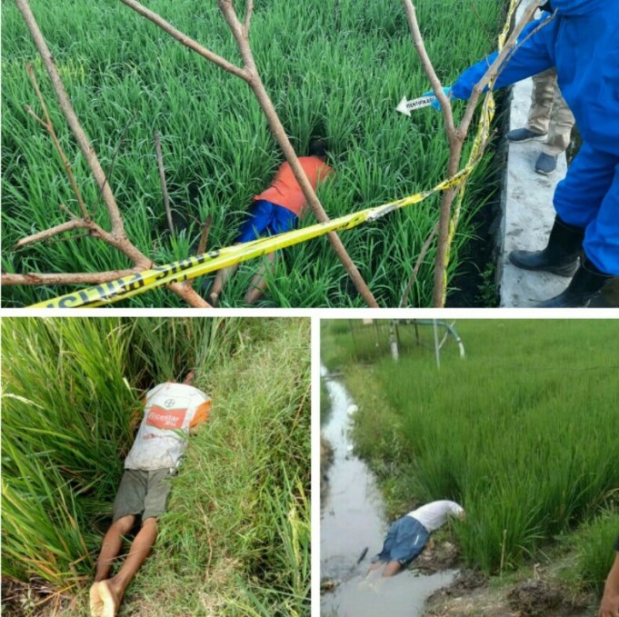 6 Orang Warganya Tewas karena Setrum Jebakan Tikus, Gubernur dan Bupati Langsung Turun Tangan