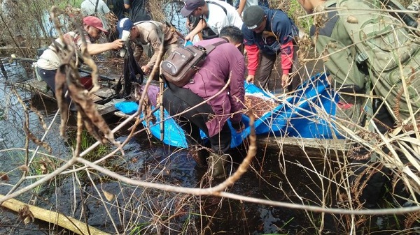 Diduga Diserang Harimau, Warga Talang Muandau Bengkalis Ditemukan Tewas Tercabik-cabik di Bagan Benio