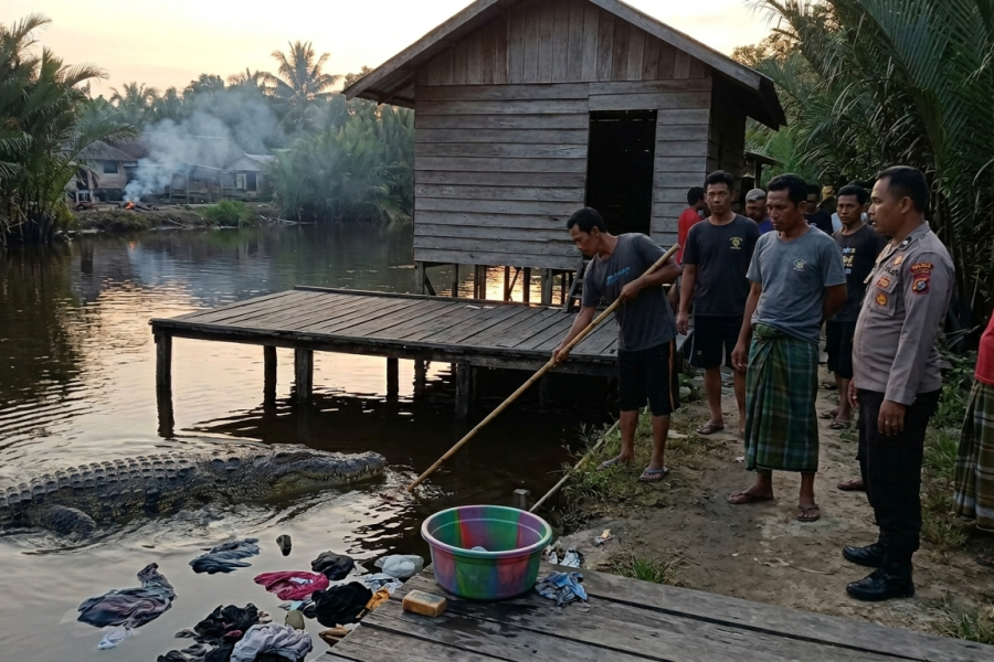 Kronologi Tragis Santi, IRT di Siak yang Diseret Predator Sungai Saat Senja