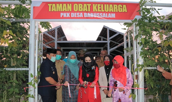 Ada Geliat Agrowisata Baru di Babussalam Rohul, Bupati  Sukiman Senang Rakyatnya  Berinovasi