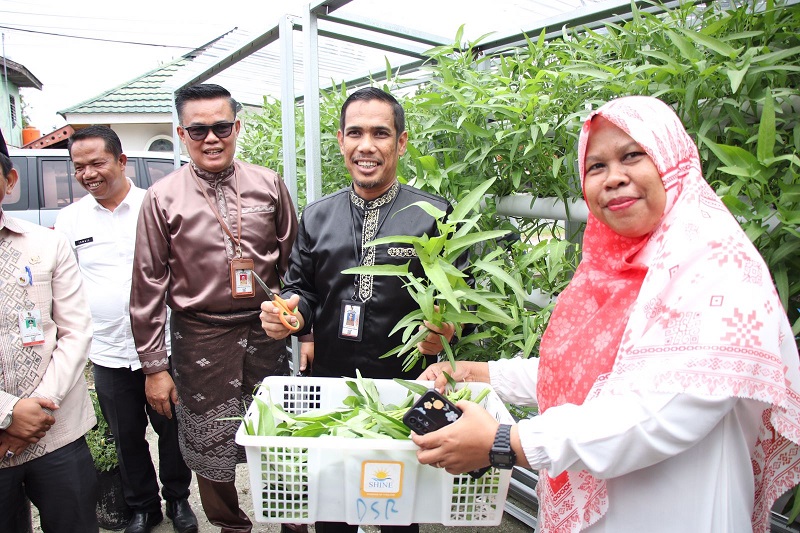 Panen Sayuran, KWT Srikandi Kartini Undang  Jajaran DKP Pekanbaru