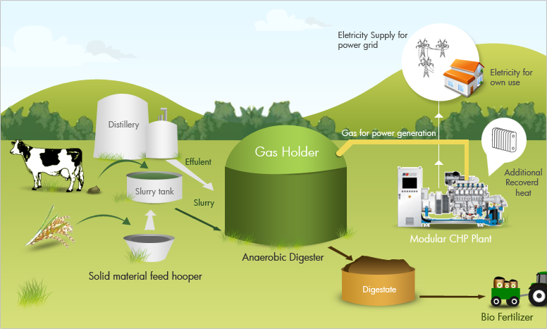 Subsidi Dicabut, Pemkab Kampar Andalkan Biogas