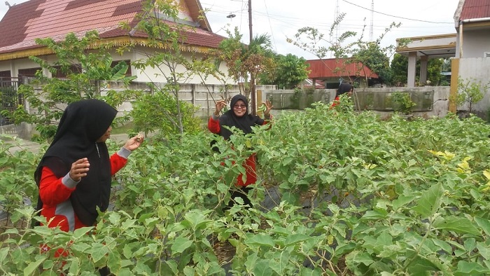 Pengecekan CPCL Kelompok Wanita Tani Indrayani di Bencah Lesung, Disketapang Punya Harapan Ini...