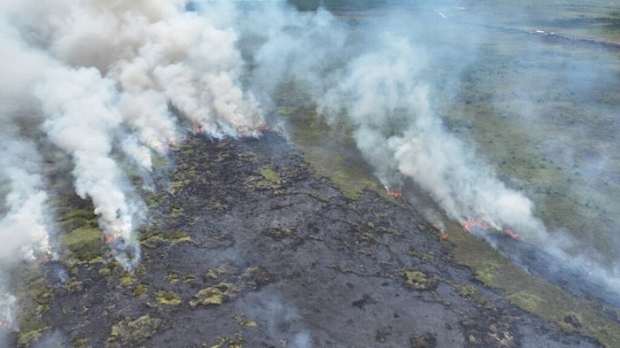 WOW...Luas Lahan Terbakar Akibat Karhutla di Riau Capai 18.770 Hektar