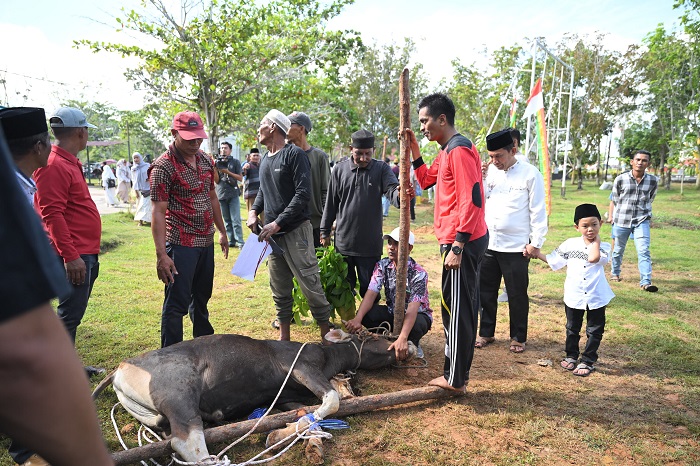 52.885 Ekor Hewan Kurban Bakal Disembelih  pada Idul Adha Tahun Ini di Riau