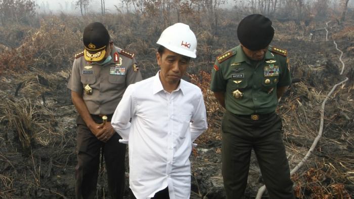 BERANI...PN Palangkaraya Vonis Presiden Jokowi, 4 Menteri, Gubernur dan DPRD Bersalah atau Lalai dalam Bencana Asap
