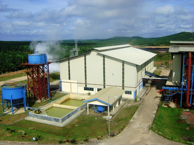 BERDEKATAN DENGAN TNTN, 52 Pabrik Kelapa Sawit di Pelalawan Bakal Ditutup