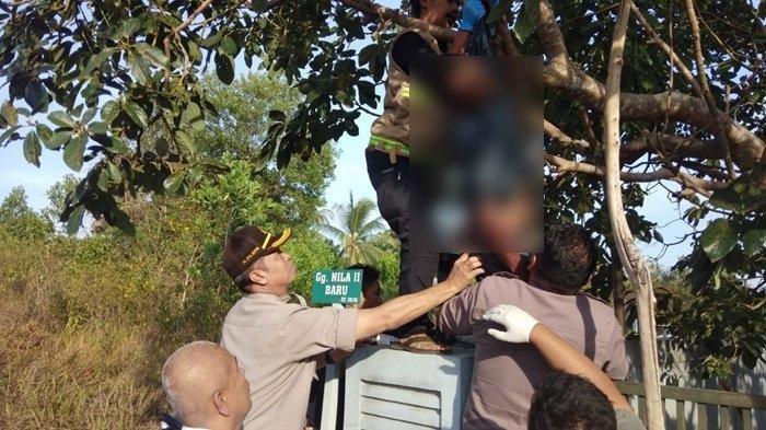 Mau Petik Buah Alpukat, Suwarni Malah Tewas Tergantung, Tangan dan Baju Kausnya Tersangkut Dahan
