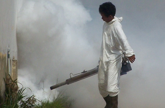 GAWAT...Kasus DBD Capai 284, Diskes Siap Lakukan Fogging