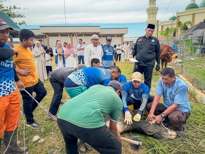 Masjid Agung Habiburrahman DIC Sembelih 10 Ekor Sapi Kurban
