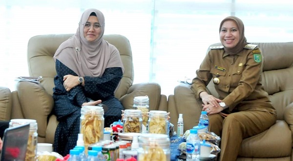 Bupati Inhu Sambut Kunjungan Konsulat Malaysia  Wan Nurshima Wan Jusoh
