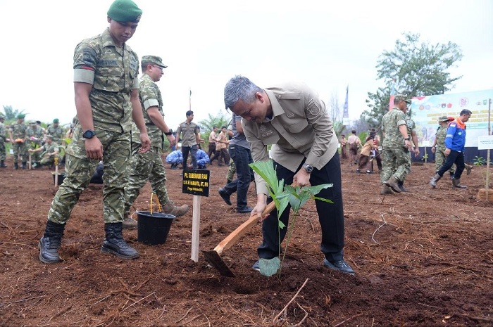 Bukan Untuk Sawit, Lahan Eks Karhutla di Zamrut Siak Ditanam 20.000 Batang Pohon