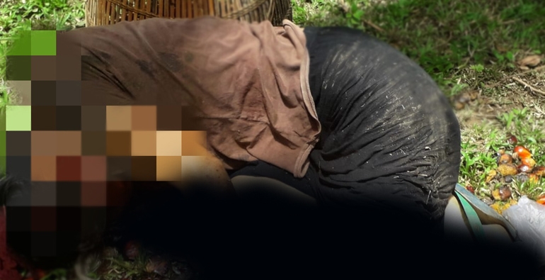 Janda Anak Dua Tewas Dibunuh dengan Leher Putus, Polisi Temukan Parang dan Baju