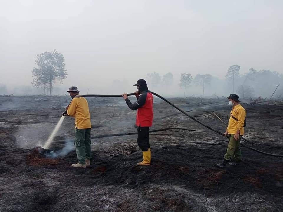 Petugas Terus Berjibaku, Luas Lahan yang Terbakar 248 Hektar