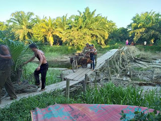 Jembatan Darurat Ini Mulai Rubuh, Warga Sei Sikusut Minta Perhatian Pemerintah