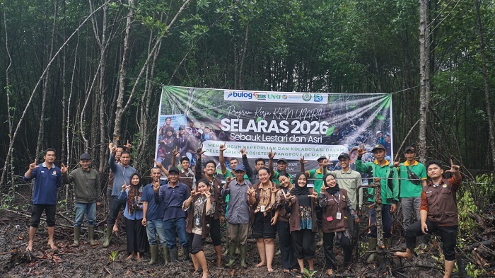 SELARAS, Mahasiswa KKN Universitas Riau Tanam 1.300 Bibit Mangrove di Desa Sebauk