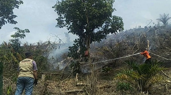 Kebakaran Lahan di Rantau Berangin, Satu Helikopter Dikerahkan Lakukan Pemadaman