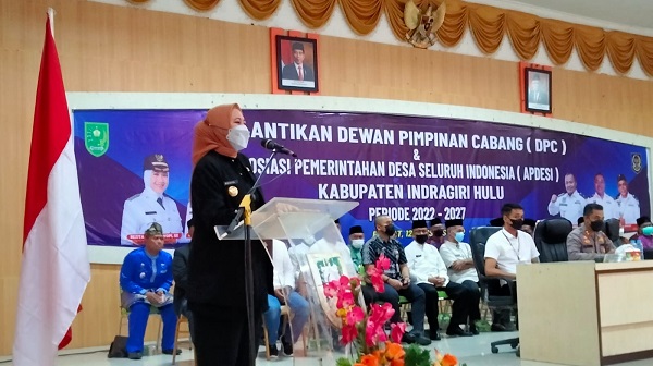 Ini Pesan Bupati  Rezita pada Pengurus APDESI Inhu