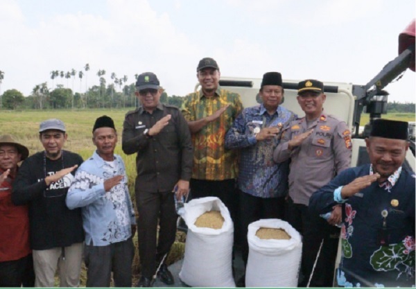 Panen Raya di Kuala Cenaku, Bupati Inhu Serahkan Combine Harvester