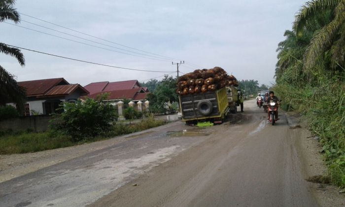 Rusak dan Berlobang, Warga Minta Jalan Pecandang-Kota Lama Diperbaiki