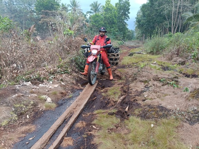 Sudah hanguskan 4 Hektare, Karhutla Pulau Mendol Belum Berhasil Dipadamkan